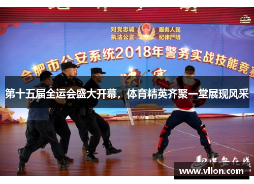 第十五届全运会盛大开幕，体育精英齐聚一堂展现风采